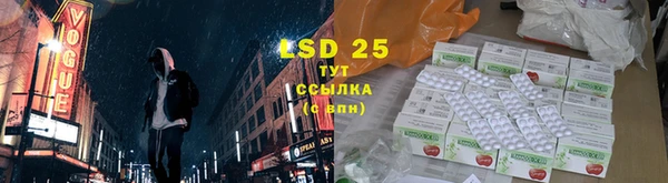 сатива Володарск